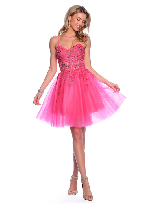 TRANSPARENT PATTERNED BODICE SHORT TULLE DRESS