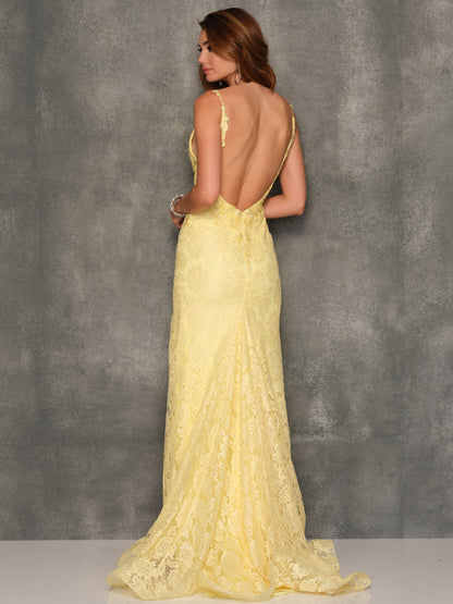 MESH PLUNGE LACE SCOOP BACK GOWN
